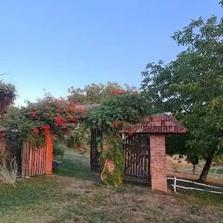 Etno Kompleks Orahovac - Vajat Lastavica Dağ evi *