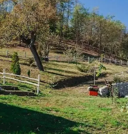 Etno Kompleks Orahovac - Vajat Lastavica Arandjelovac